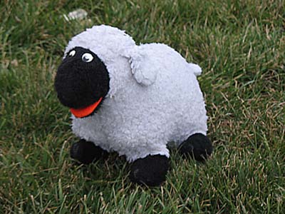 The groundsheep