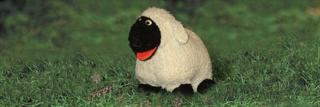 Groundsheep wins